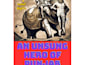 ghostwrite nonfiction books and ebooks